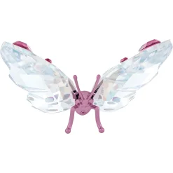 Idyllia Butterfly
