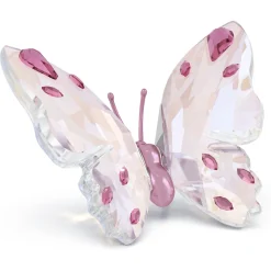 Idyllia Butterfly