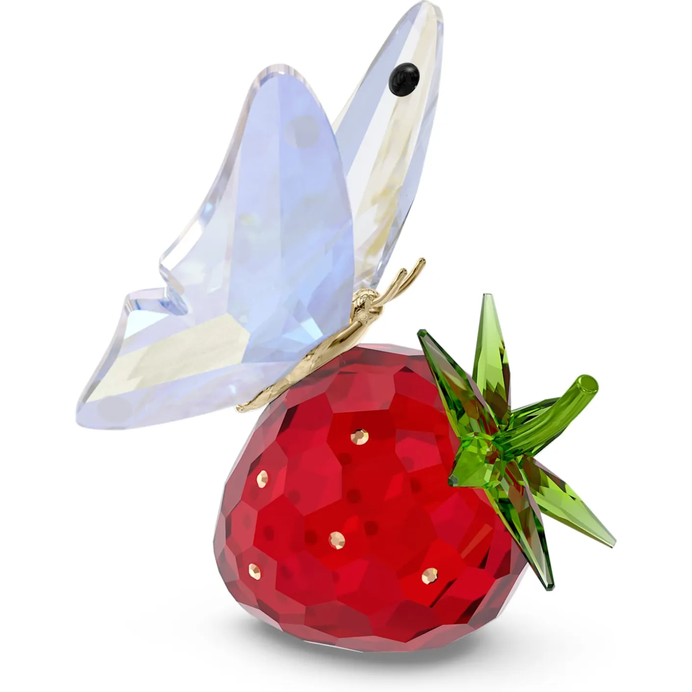 Idyllia Butterfly and Strawberry