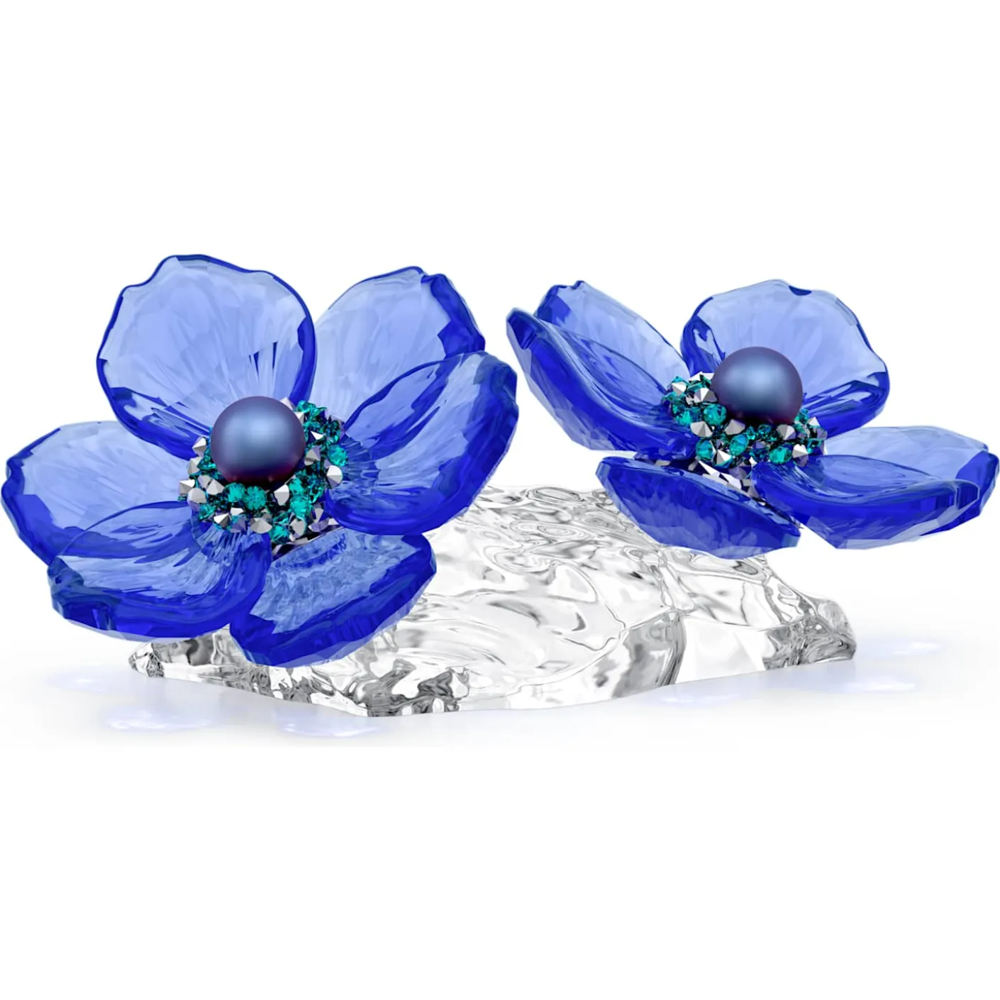 Idyllia SCS Anemone Coronaria Flower