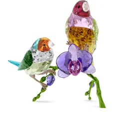 Idyllia SCS Annual Edition 2024 Gouldian Finches