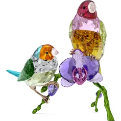 Idyllia SCS Annual Edition 2024 Gouldian Finches