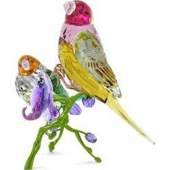 Idyllia SCS Annual Edition 2024 Gouldian Finches