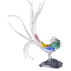 Idyllia SCS Annual Edition 2026 Lady Amherst’s Pheasant