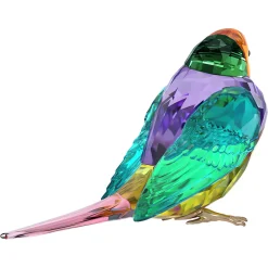 Idyllia SCS Gouldian Finch