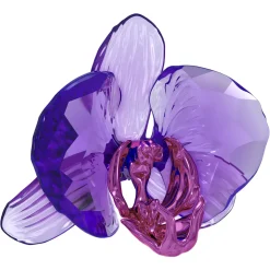 Idyllia SCS Orchid Petal