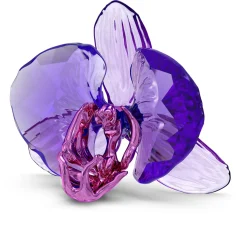 Idyllia SCS Orchid Petal