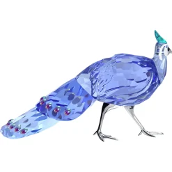 Idyllia SCS Palawan Peacock-Pheasant