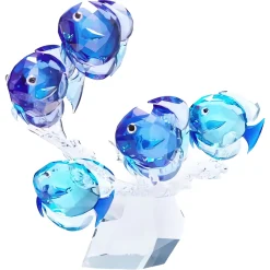 School of Fish
