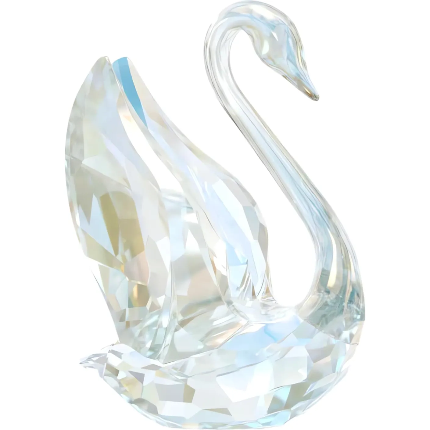 SCS Annual Edition Swan 2024