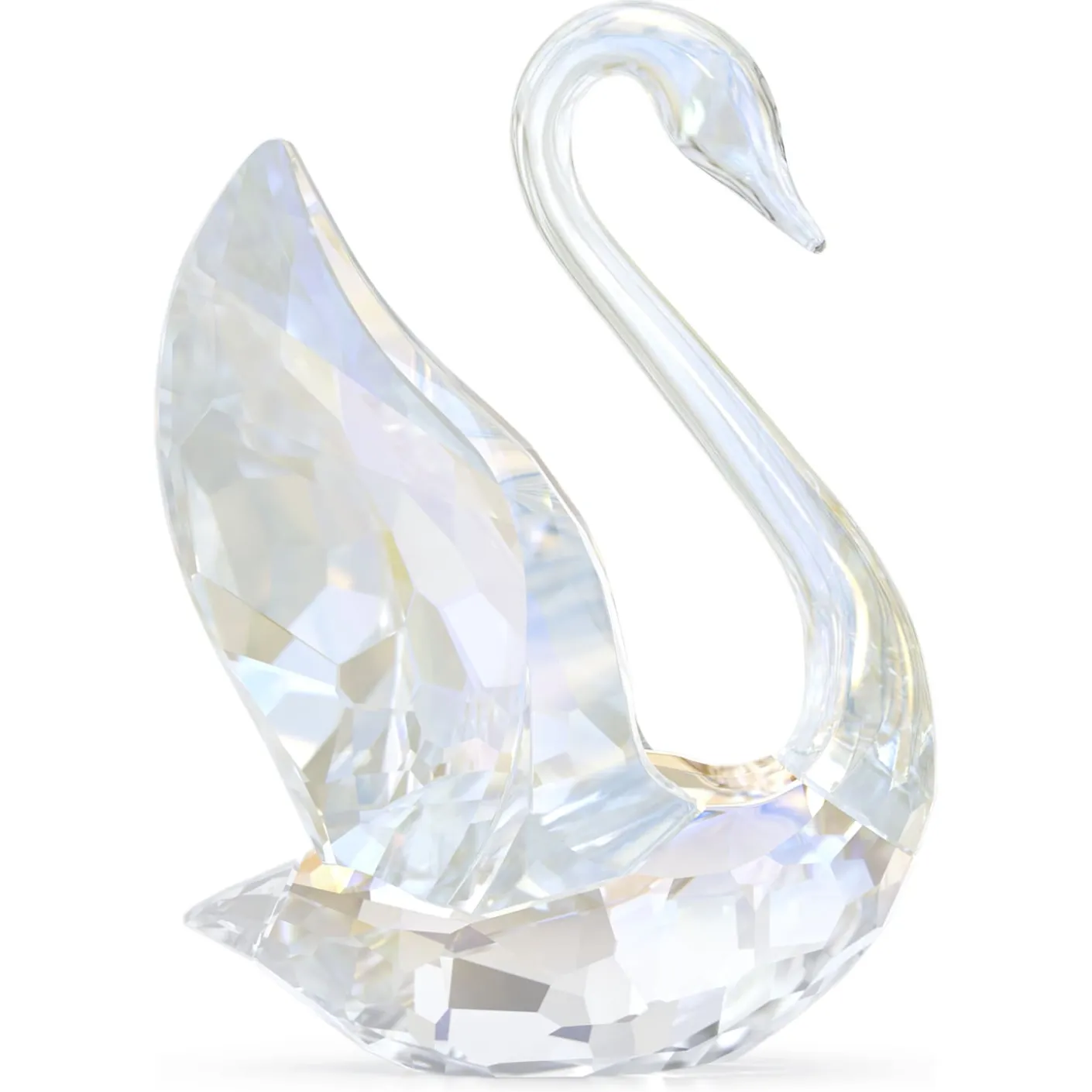 SCS Annual Edition Swan 2024