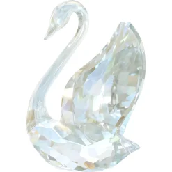 SCS Annual Edition Swan 2024