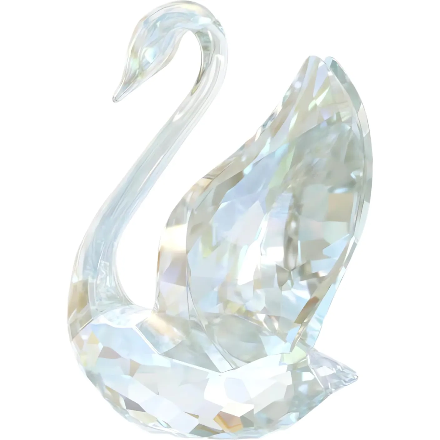 SCS Annual Edition Swan 2024