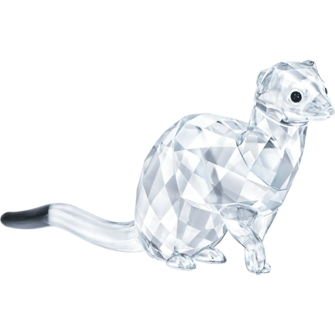 SCS Ermine (Event Piece 2019)