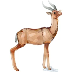 SCS Gazelle