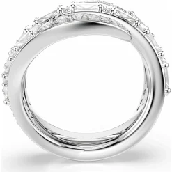 Vienna ring